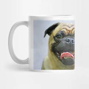 Pug Portrait Mug